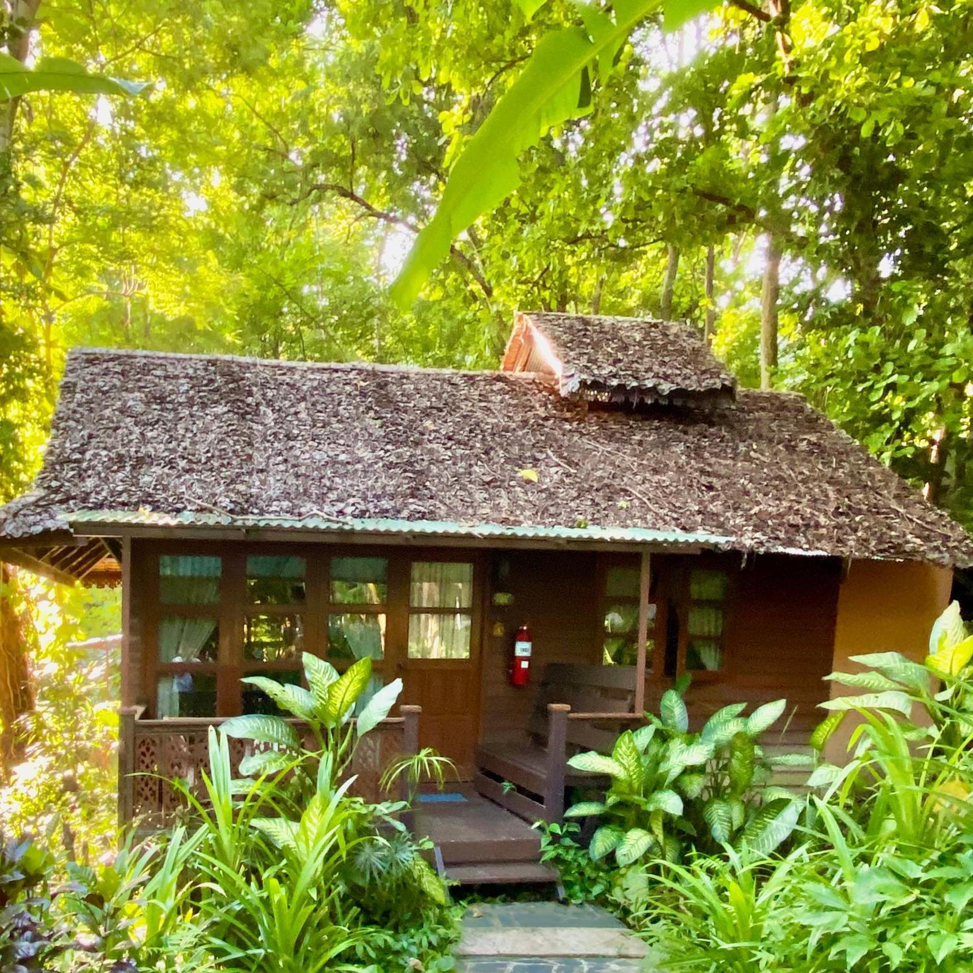 Fern Tempat peranginan