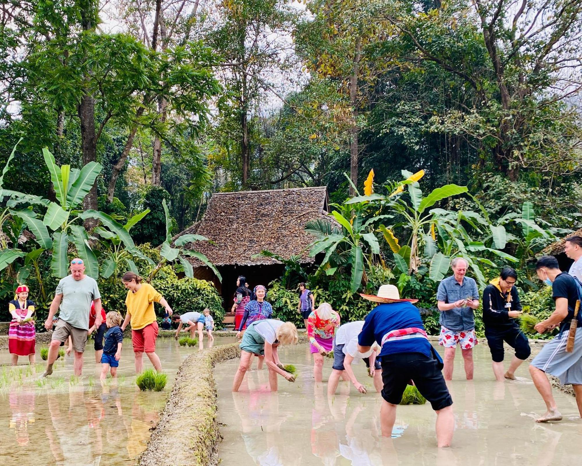 Fern 3* Mae Hong Son
